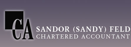 Sandy Feld Chartered Accountant